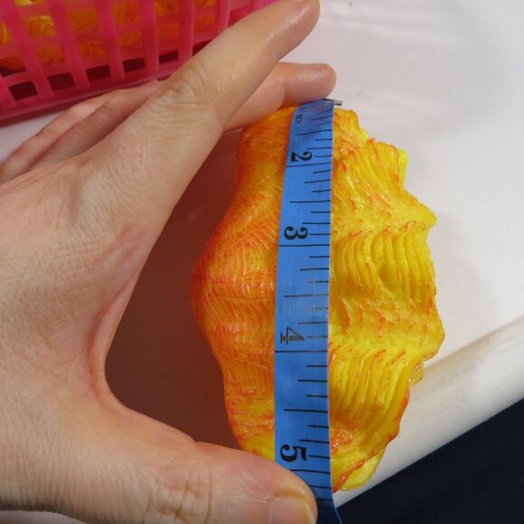 Under Water Plastic Sea Shells, Plants etc, WEIGHTED, DESIGNED TO BE UNDER WATER - Picture 8 of 16